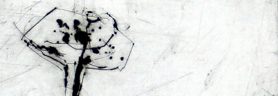 Helena Bergenrud  bergenrud.com  IV  - UR BLOMMAS RESA (DETALJ) torrnålsgravyr, drypoint, kaltnadel radierung